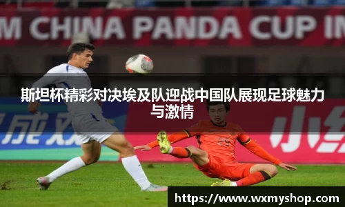 斯坦杯精彩对决埃及队迎战中国队展现足球魅力与激情