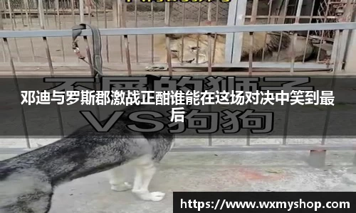 邓迪与罗斯郡激战正酣谁能在这场对决中笑到最后
